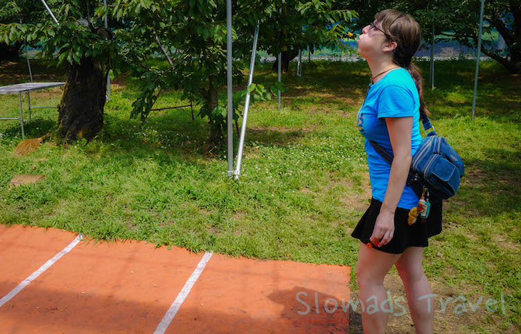 woman spitting cherry pits