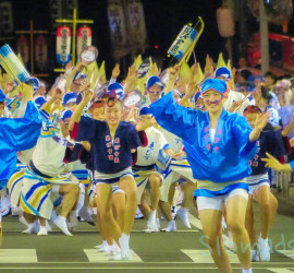 dancers at Tokushima's Awa Odori 2014